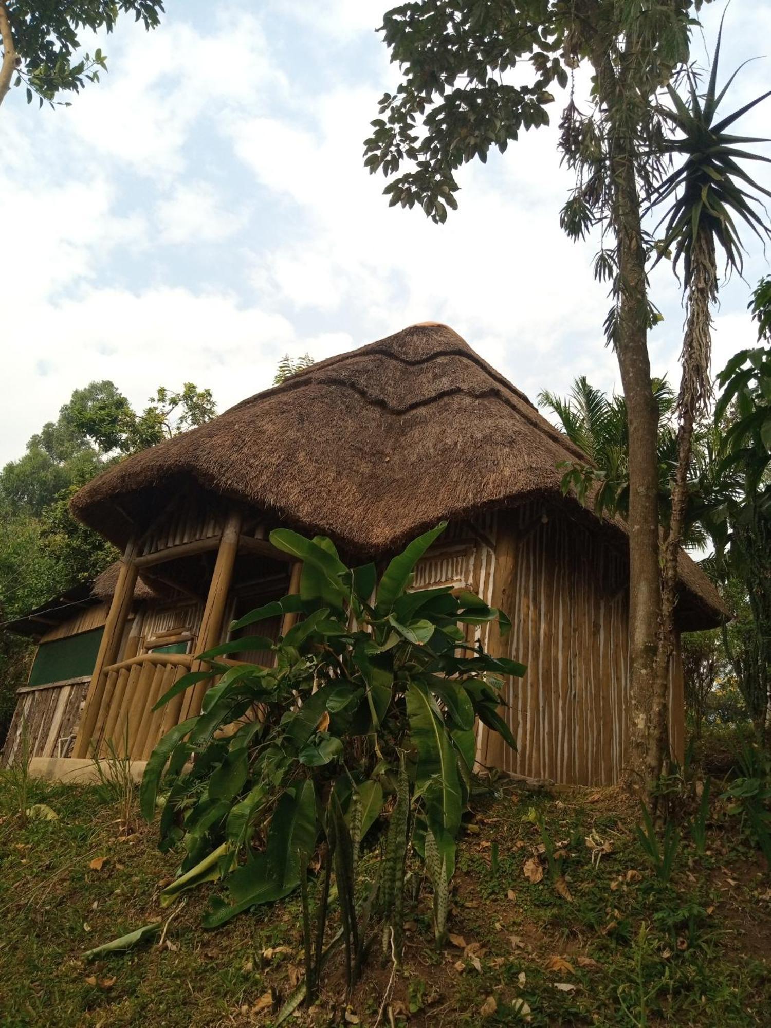 Dave The Cave Eco Lodge And Cultural Campsite Rubirizi Bagian luar foto